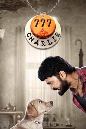 777 Charlie 2022 Hindi Audio WEB-DL 1080p - 720p - 480p 777 Charlie 2022 Hindi Audio WEB-DL 1080p - 720p - 480p