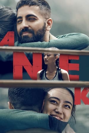 Anek 2022 Hindi Movie HDRip 720p – 480p Anek 2022 Hindi Movie HDRip 720p – 480p