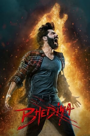 Bhediya 2022 Hindi Movie HDRip 720p – 480p Bhediya 2022 Hindi Movie HDRip 720p – 480p