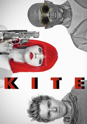 Kite 2014 Dual Audio Hindi Movie 720p BluRay - 1GB Kite 2014 Dual Audio Hindi Movie 720p BluRay - 1GB