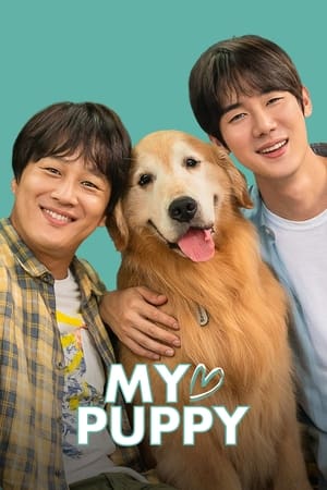 My love puppy (2022) Hindi Dual Audio HDRip 720p – 480p My love puppy (2022) Hindi Dual Audio HDRip 720p – 480p