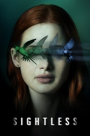 Sightless 2020 Hindi Dual Audio 480p Web-DL 300MB Sightless 2020 Hindi Dual Audio 480p Web-DL 300MB