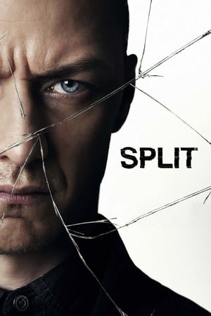 Split (2016) Hindi Dual Audio 480p BluRay 400MB Split (2016) Hindi Dual Audio 480p BluRay 400MB