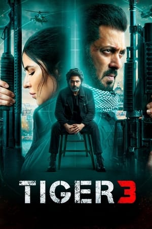 Tiger 3 2023 Hindi (ORG) Web-DL 720p – 480p Tiger 3 2023 Hindi (ORG) Web-DL 720p – 480p