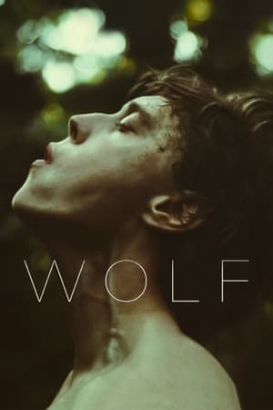 Wolf (2021) Hindi Dual Audio HDRip 720p – 480p Wolf (2021) Hindi Dual Audio HDRip 720p – 480p
